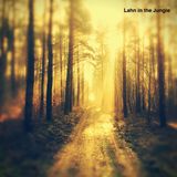 Noya - Lahn in the Jungle