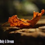 dream only a dream