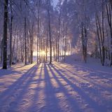 Winter - SoundCast (Studio Mix)