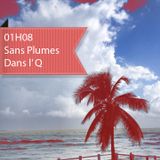 1h08 sans plumes dans l'Q vol.01