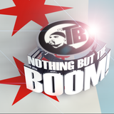 Nothing but the Boom | Electro House Mix | DJ Tony Badea aka Boom Boom | January 2015