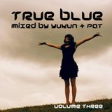 Progressions pres. True Blue Vol. 3 | Mixed by Yukun & P@t