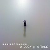 A Duck in a Tree 2013-08-31 | Only What Is There