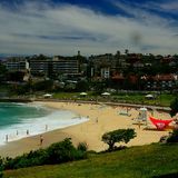 Bronte