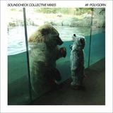 Soundcheck Collective Mixes #9 - Polygorn