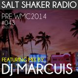 Pre WMC 2014 Salt Shaker Radio Set