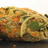 Skunk Homegrown Mix