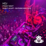 Hoj - Robot Heart - Burning Man 2013