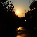 Night Patrol on Sunset Boulevard 06.02.15 (A guide to upcoming releases)