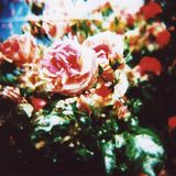 May 2010 Mix