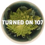 Turned On 107: Frits Wentink, Visionquest, Tevo Howard, Mr. C, Letherette, Harry Wolfman