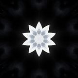 Nocturnal Sunburst