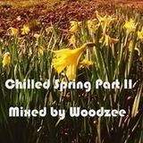 Chilled Spring Part II - Woodzee 'A Spring Chill'