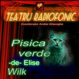 Teatru radiofonic - Elise Wilk - Pisica verde