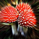 ॐLysergic-Vibesॐ PsyMiX 15/12/2013 ( Psytrance, Forest, Dark , Full )