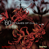60 Minutes Of Chill, Part 38 (Autumn Leaves)