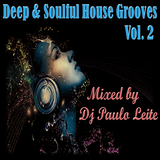 Deep & Soulful House Grooves Vol. 2