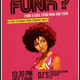 DJ Spykee Wildthing - What the Wild Funk?