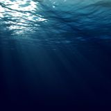 Deep Project (Jan 2015)