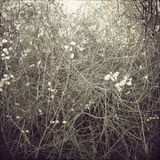Adata 19.10.15. - rudens ambients