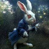 Follow The White Rabbit