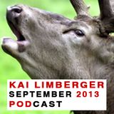 Kai Limberger Podcast September 2013