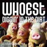 WhoEst Diggin' (6 hrs raw vinyl mix)