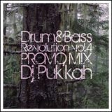 ::Drum'n'Bass:Revolution:4::БитФест Edition::