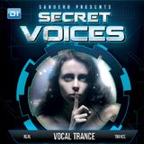 Sandero - Secret Voices 51 (Guest RO2) on DI.FM - 05-Jan-2015