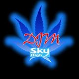 SKY HIGH V10