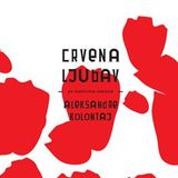 KUPEK 148, Olga Dimitrijević, Crvena ljubav