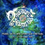 Dragon Dreaming Festival 2014 - Closing DJ Set