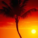DJ L's & DJ Youngone Official Summer Mix CD 2012