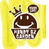 Adult 10th Anniversary MIX