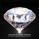 Mr.Kay - "Shine On You Crazy Diamond" - Autonomic evergreens