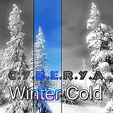 C.Y.B.E.R.Y.A - Winter Cold