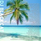 DJ Blackcat - Black Sweat 3 Pt 2. - Soca 2013