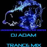 EPISODE 13, "ELECTRIC BUFFALO" by DJ ADAM