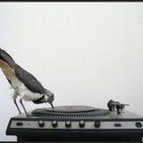 Ruff November Mix 2012
