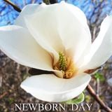Newborn Day