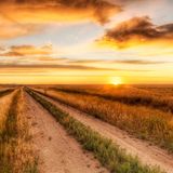 Marc d'Arc - Sunrise
