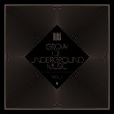 GROW OF UNDERGROUND MUSIC Vol.1__part_2