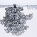 JuanJespar - winter2008