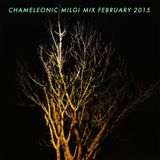 Milgi Mix Feb 2015
