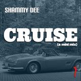 Cruise (a mini mix)