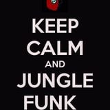 Dj Hennessy Pres. Jungle Funk 003. Part 1