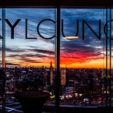 SkyLounge Amsterdam - Daytime (Vintage Covers)