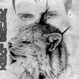 YOUNG LYNX IN SESSION #05 | EDM | Electro & Progressive