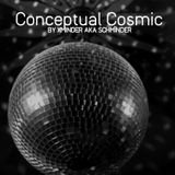 Conceptual Cosmic
