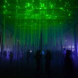 Live from the Fairytale Forest club #2